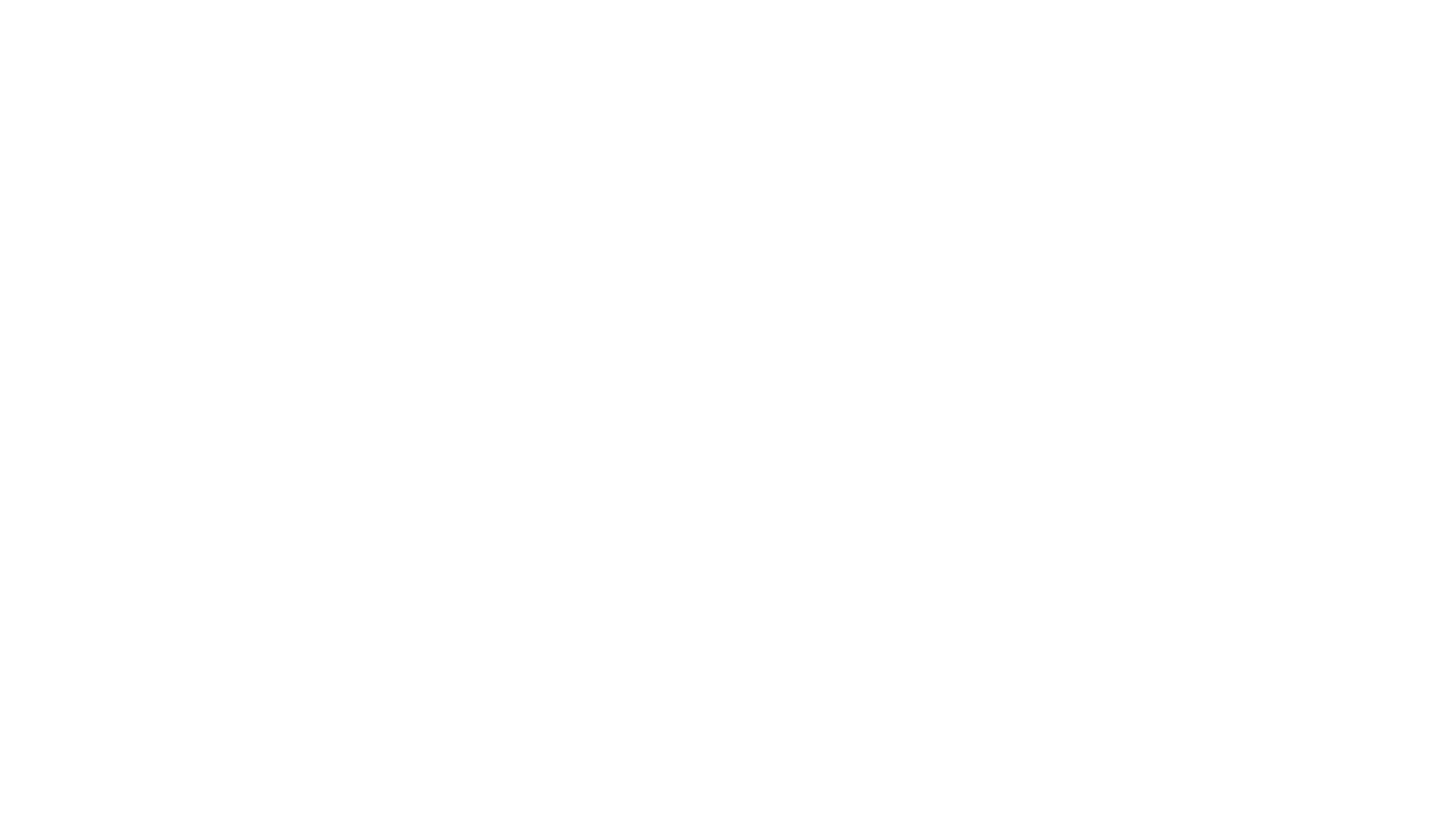 Logo Elite Fenix blanco png